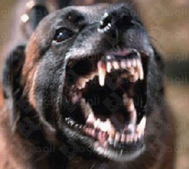 19248065_783611648478954_5111541665634927220_n