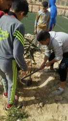 27654918_1154559458019649_804932692063164521_n